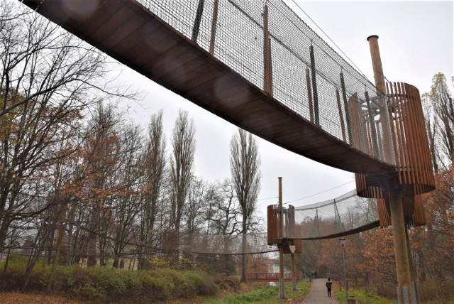 Park linowy znajduje się w Dolinie Gęśnika w Zielonej Górze.