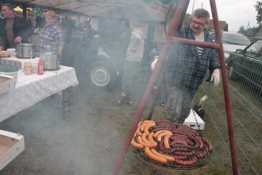 Niwki Książęce: Święto Grzyba Leśnego (GALERIA)