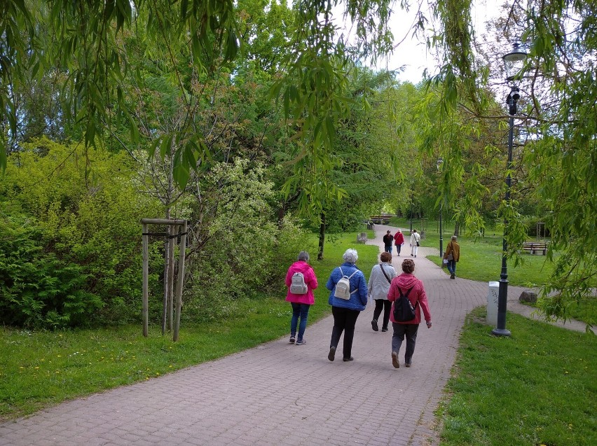 Wkrótce „Biesiada studencka” słuchaczy UTW w Pruszczu. Ruszyły zapisy