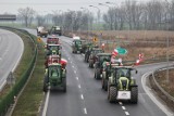 Jak wyglądał dzisiejszy protest rolników? Zablokowane drogi, trumna i incydent przed urzędem. Policja: Było spokojnie. 