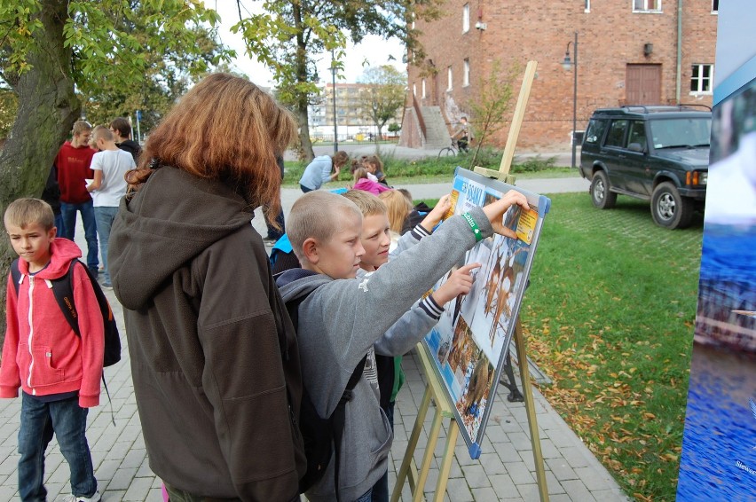 BioBlitz 2013. Mieszkańcy Nowego Dworu Gdańskiego mogli zapoznać się z bioróżnorodnością rzeki Tuga