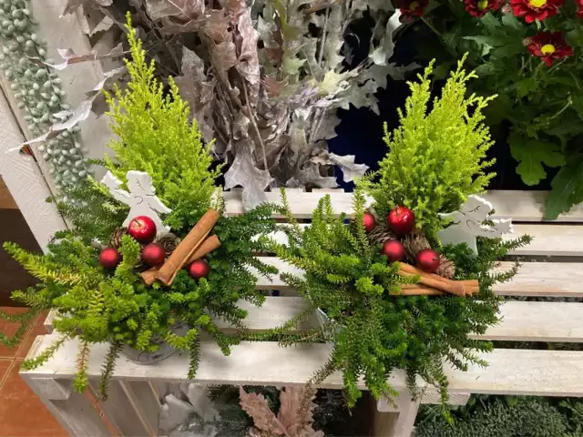 Boże Narodzenie coraz bliżej. Inspiracje na świąteczne dekoracje prosto z  pleszewskiej pracowni | Pleszew Nasze Miasto