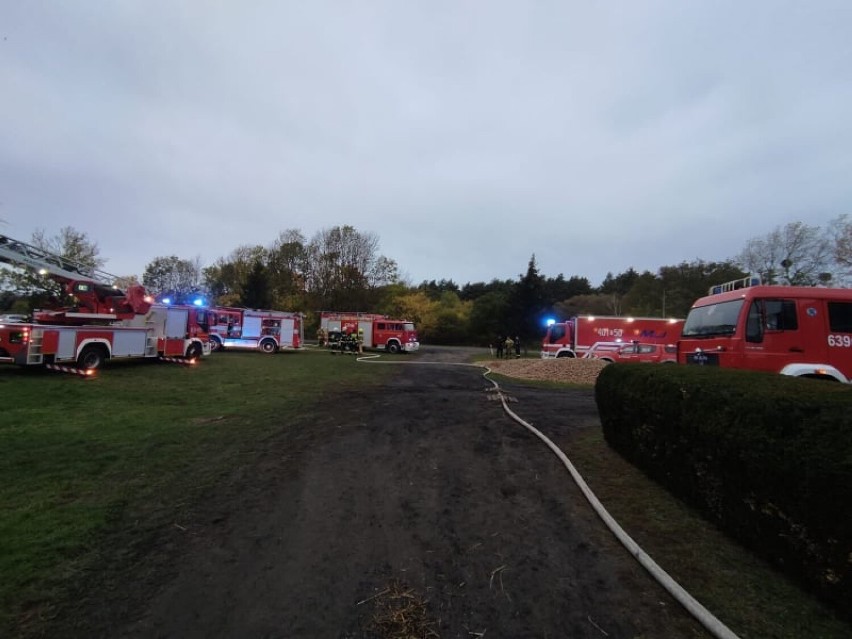 Pożar w gminie Mieścisko. Z ogniem walczyło 16 zastępów straży pożarnej 