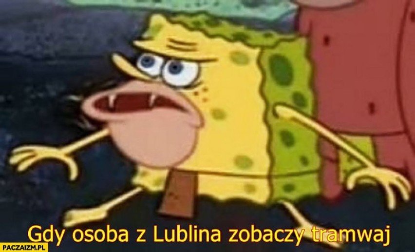 Tak śmieją się z Lubelszczyzny! Internauci są bezlitośni. Jakie mankamenty naszego regionu są nam wytykane w sieci? Zobacz MEMY