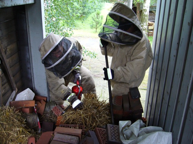 Strażacy wzywani byli m.in. do usuwania gniazd os, pszczół i szerszeni