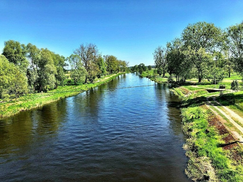 Trzy kolejne największe rzeki Wielkopolski to Noteć, Prosna...