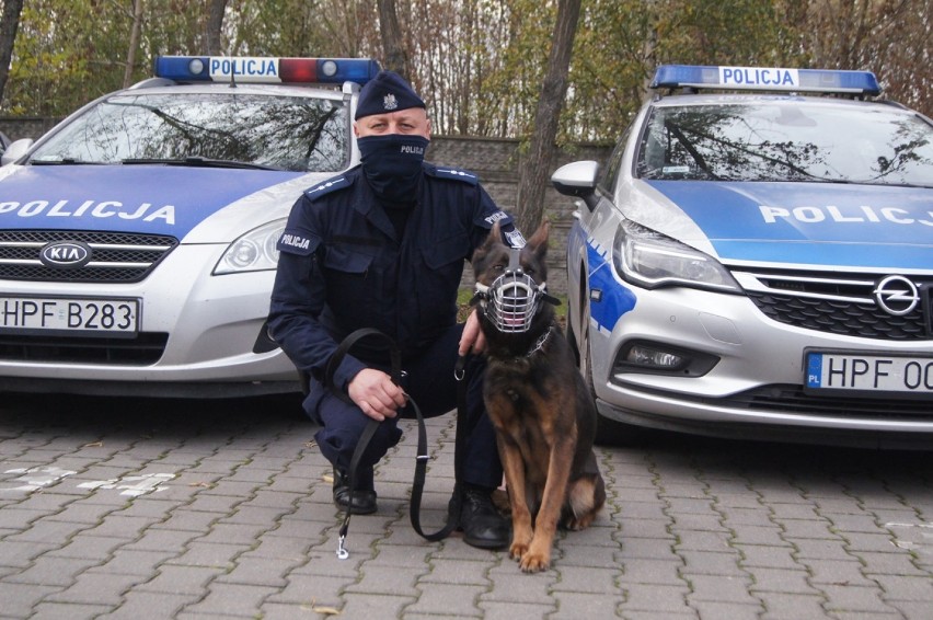 Komisarz Kolor i jego pan. Pies policyjny z KPP w Radomsku...