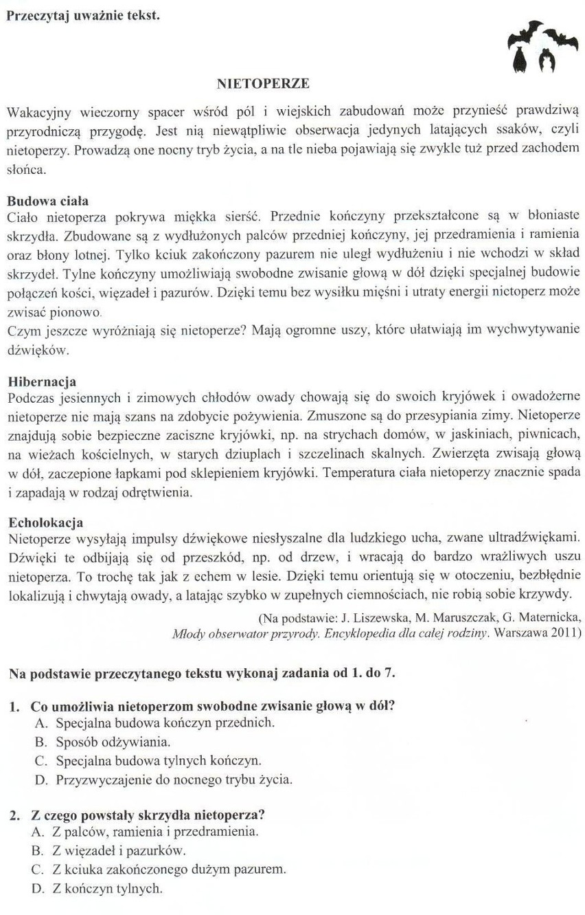 Język polski - zestaw II, strona 2