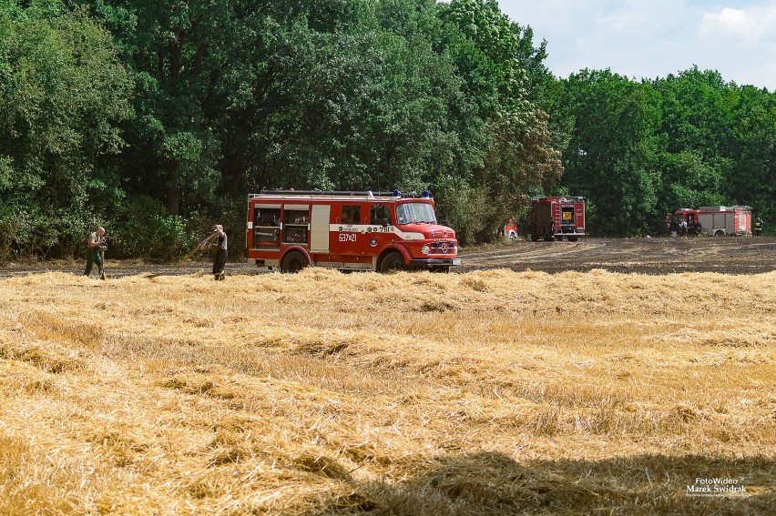 Kolejny pożar zboża w powiecie. Na miejsce wysłano straż pożarną