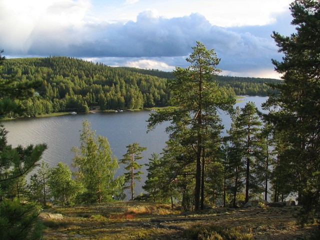 Jezioro w Jyväskylä, Finlandia
