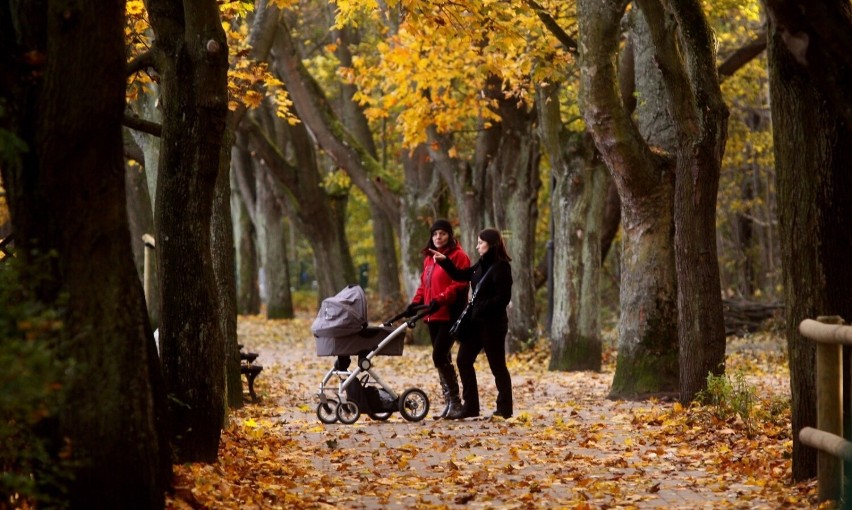 Park Północny w Sopocie rozciąga się aż do granicy z Gdynią....