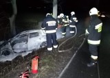 W gminie Pruszcz elektryczne auto wypadło z trasy i spłonęło na poboczu. Zobacz zdjęcia