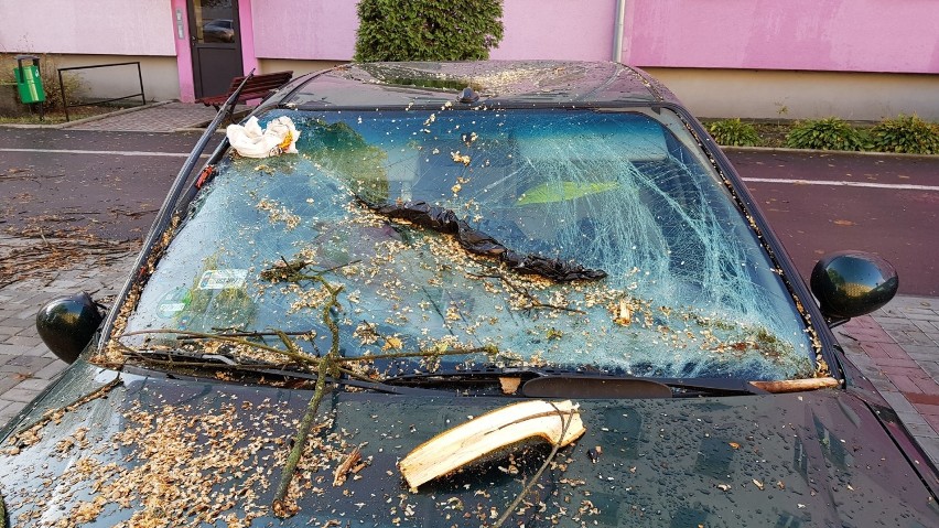 W Strzelcach Opolskich drzewo przewróciło się na samochody
