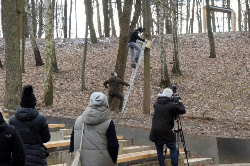 Działacze ruchu Polska 2050 Szymona Hołowni powiesili 30 budek lęgowych dla ptaków w Parku Miejskim w Starachowicach