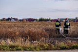 Wolsztyn: Podsumowanie działań jednostki Straży Pożarnej w Wolsztynie w okresie wakacyjnym