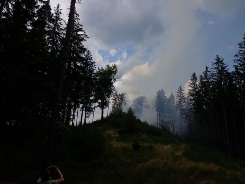 Pożar w lesie w Rudawach Janowickich