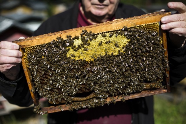 Dzień Ziemi z wolontariatem KGHM