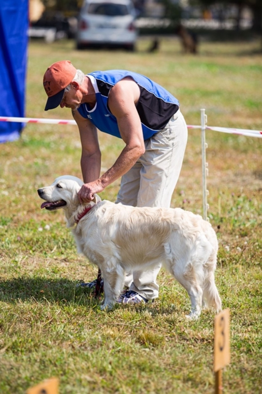 Wystawa psów, Władysławowo 2015