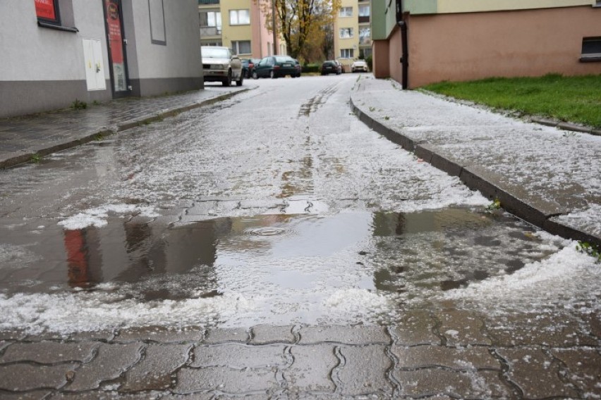 Nowy Dwór Gdański. Ogłoszono alarm powodziowy dla Żuław i...