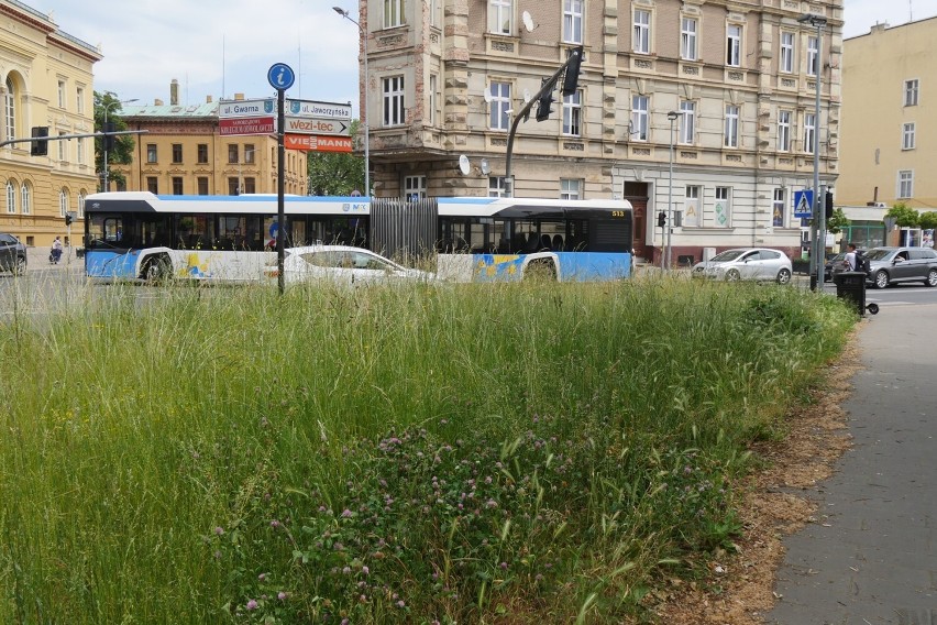 Autobus też jest słabo widoczny