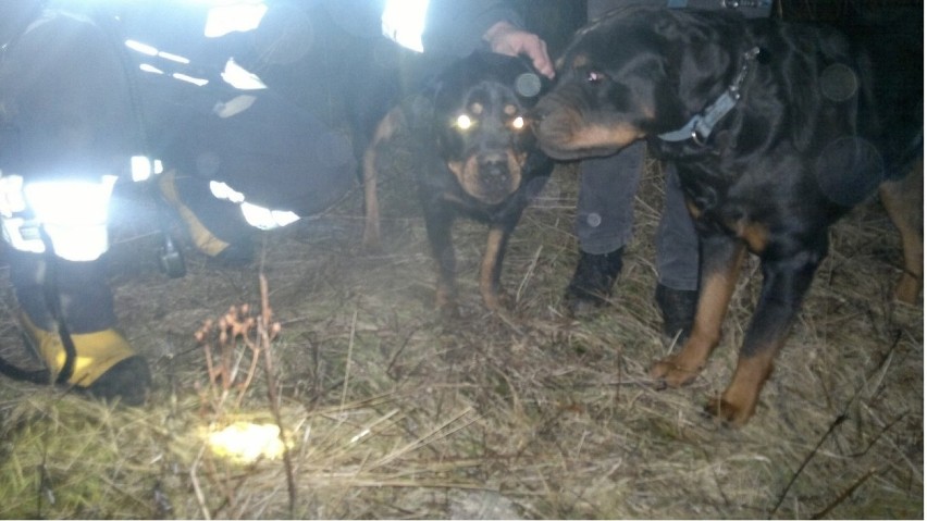 Uratowany pies w Czymanowie