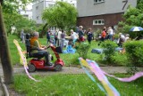 Jak dobrze mieć sąsiada - piknik w kieleckim uzdrowisku Alejka Zdrój (WIDEO, zdjęcia)