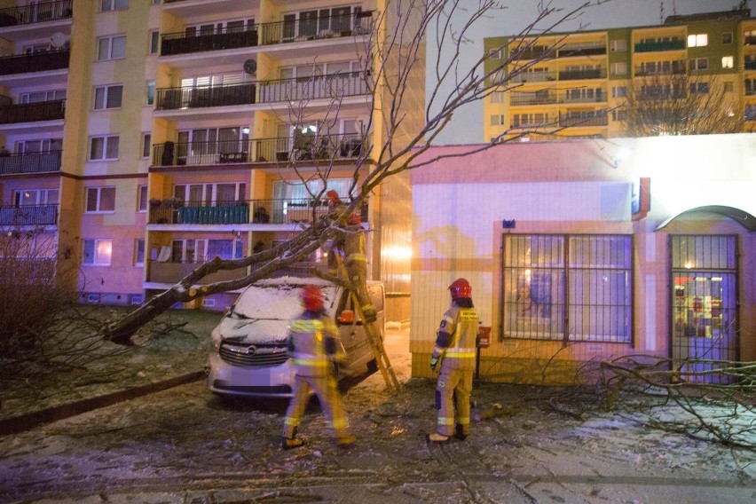 Silny wiatr, zamieć i powalone drzewa. Wichura w regionie