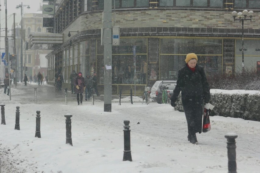 We Wrocławiu znów sypnęło śniegiem (ZDJĘCIA)