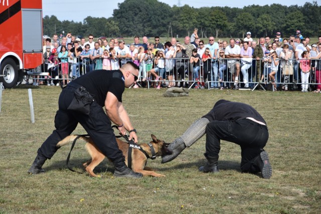 Podczas pikniku w Minikowie znów będzie czego słuchać i co oglądać. W planach są min. pokazy służb mundurowych