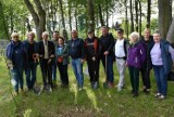 100 drzewek posadzonych na terenie ośrodka OSiR nad jeziorem - w akcji uczestniczyli radni miejscy poprzedniej i obecnej kadencji