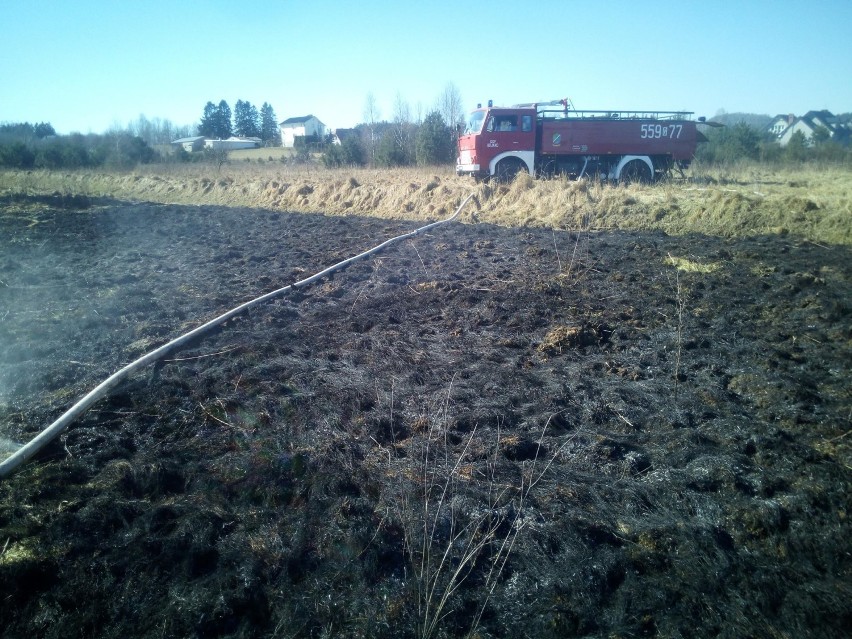 Pożar trawy i wypadek w Bojanie