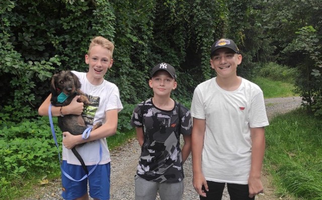Bartek (14l), Bartek (12l), Max (12l) uratowali małego szczeniaka. Dzięki ich interwencji pies został zabezpieczony i jeszcze tego samego dnia wrócił do swojej rodziny.