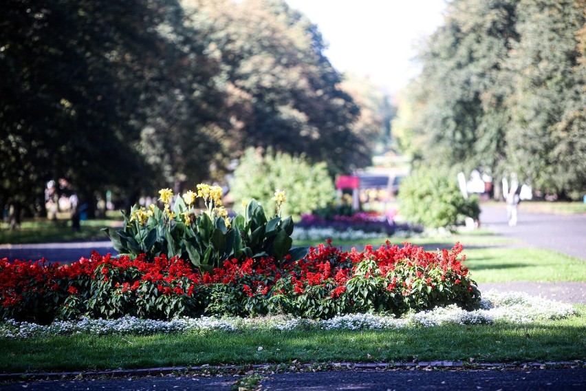 Piękny Park Śląski zaprasza na jesienny spacer! Zajrzyjcie tu! ZDJĘCIA