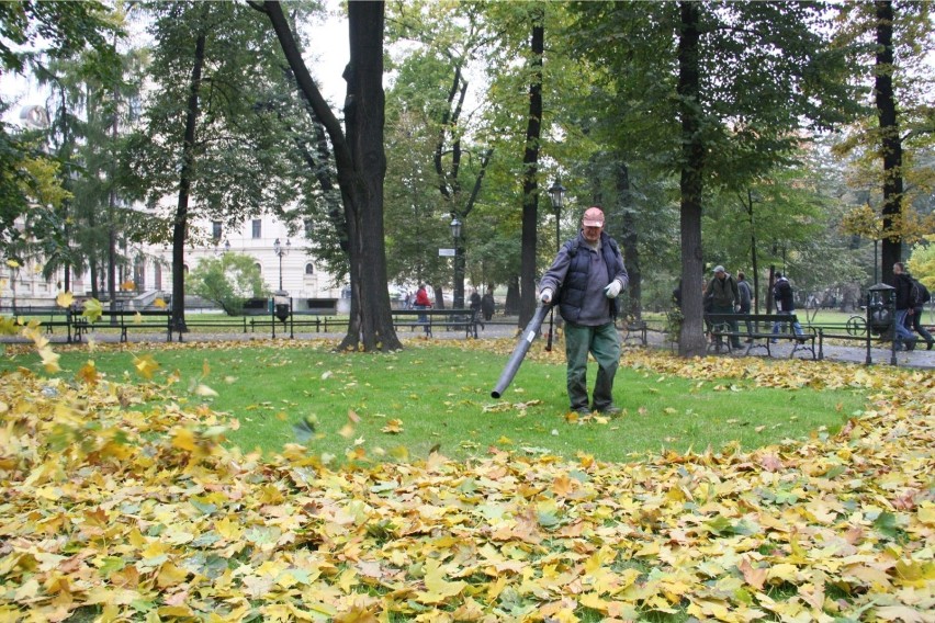 Z Krakowa znikną dmuchawy do liści z powodu spalin i hałasu?