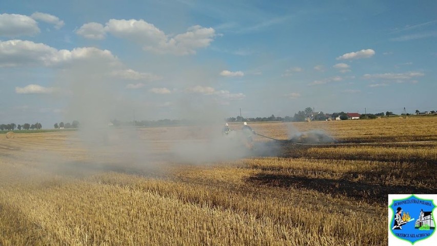 Pożar na polu w Trzebczu Szlacheckim gasiło aż dziesięć...