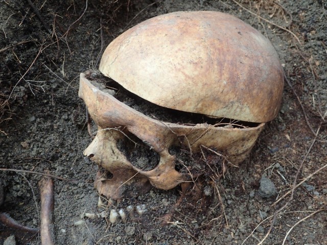 Szkielety czterech żołnierzy niemieckich odnaleziono w miejscu, gdzie kiedyś była cała kwatera poniemieckich nagrobków. Do dziś zostały tylko trzy z nich.
