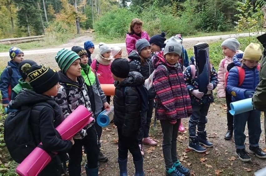 Październik to idealna pora na piesze wycieczki po lesie....