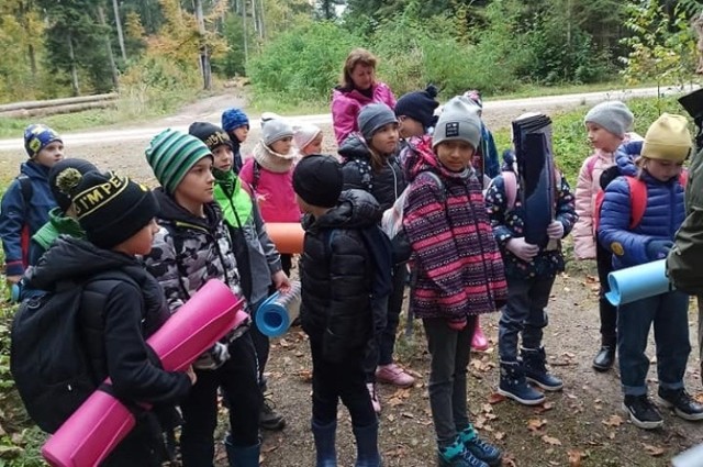 Październik to idealna pora na piesze wycieczki po lesie. Doskonale przekonali się o tym uczniowie z klasy II a staszowskiej "dwójki", którzy w ostatnich dniach pod okiem Joanny Drożdzowskiej z Nadleśnictwa w Staszowie poznawały obszary leśnie Natura 2000. Dzieci podziwiały drzewa i krzewy w jesiennych barwach, rozpoznawały je i nazywały. Uczniowie uczyli się również „czytać mapę”. Był też czas na drugie śniadanie i zabawy ruchowe.

Więcej zdjęć z wycieczki na kolejnych slajdach>>>
