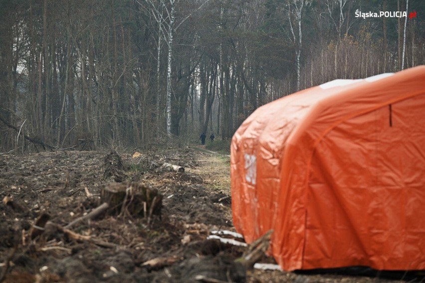 Zabójstwo w Borowcach. Jacek Jaworek nie żyje? Policja ruszyła na kolejne poszukiwania. Kilkuset funkcjonariuszy w Borowcach