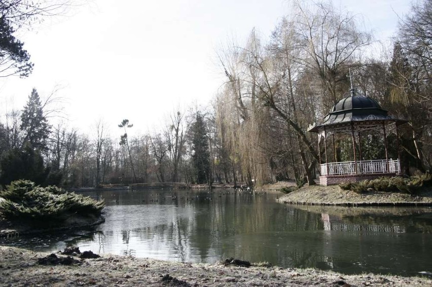 Życie wraca do parku miejskiego. Plac zabaw dla dzieci ma być gotowy na dzień dziecka