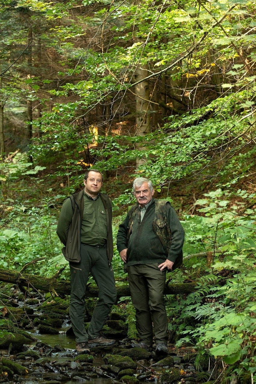 Zapach lasu w Bieszczadach, odgłosy przyrody - są...