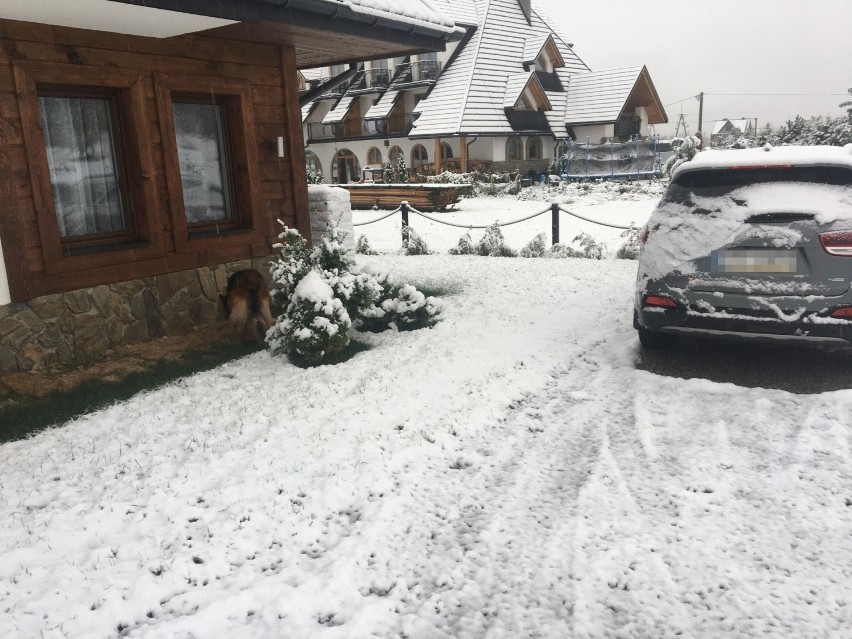 ŚNIEG w Zakopanem, biały poranek na Podhalu. Mamy pierwszy atak zimy. Na drogach zrobiło się niebezpiecznie [ZDJĘCIA]