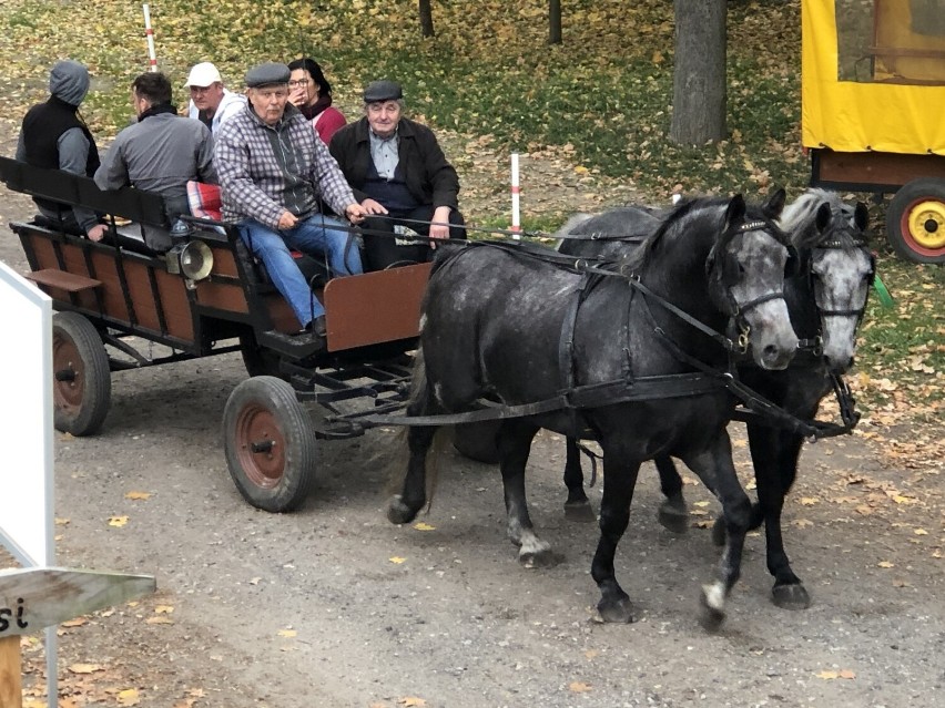 Czy Wilkowice są tylko sypialnią dla Leszna?