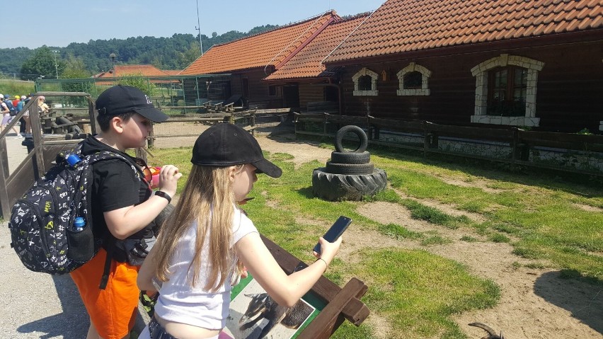 To była wspaniała i niezapomniana przygoda. Uczniowie z chełmskiej "trójki" odwiedzili Park Jurajski w Bałtowie. Zobacz zdjęcia