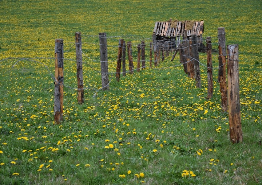 Rekonstrukcja Bitwy pod Gorlicami coraz bliżej. Scenografia jest już gotowa. ZDJĘCIA