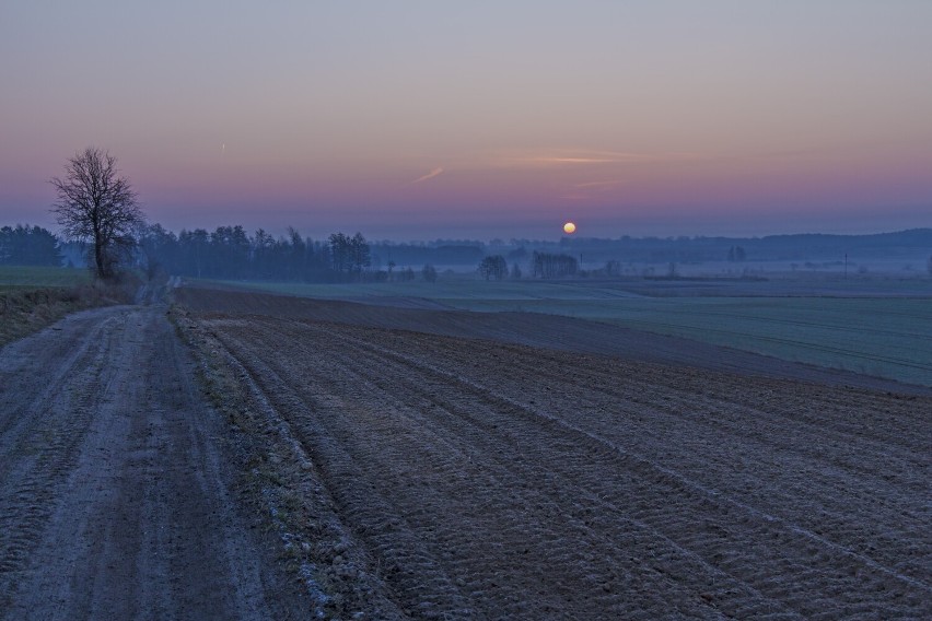  Jesienny poranek nad Dzierzążenkiem. Wschód słońca, mgły snujące sie po polach, domostwa przycupnięte w oddali