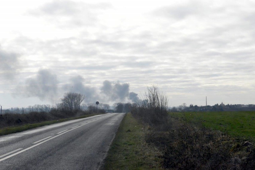 Pożar na składowisku złomu w Przysiece Polskiej