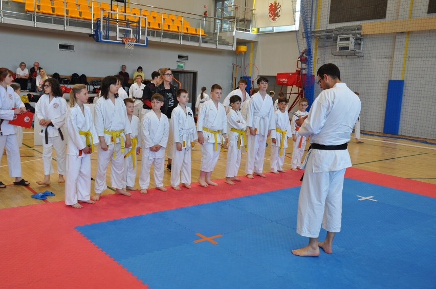 Karatecy Klubu Karate NIDAN Zielona Góra wspaniale spisali...