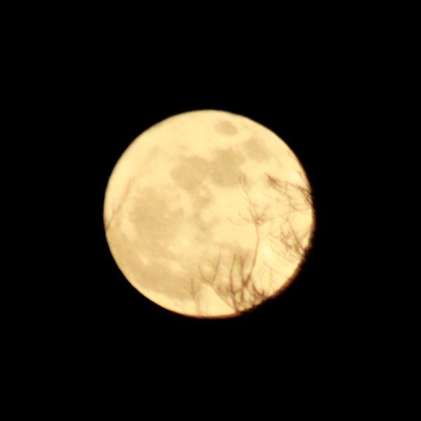 pełnia księżyca, 19.03.2011r.