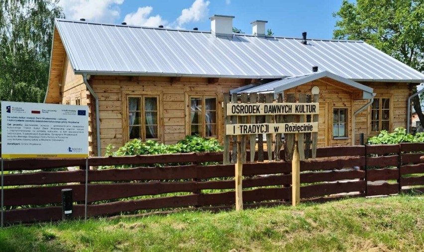 To będzie ziemniaczane święto w Rozięcinie - Kultura, tradycja... i placki. Zobacz program